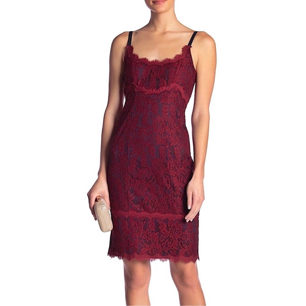 Diane Von Furstenberg Olivia Rose Lace Dress
